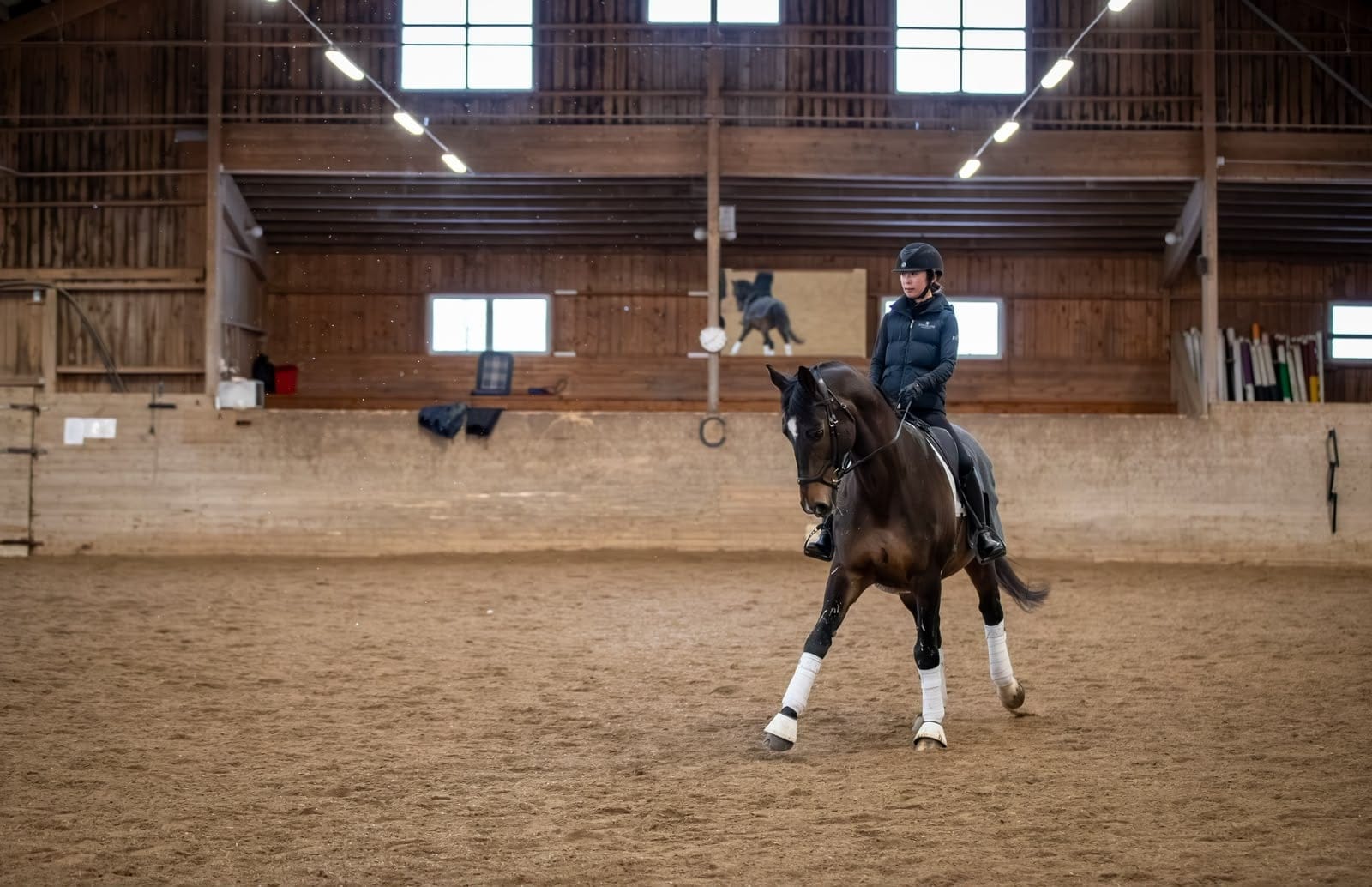 Dressage work on a black horse in the arena