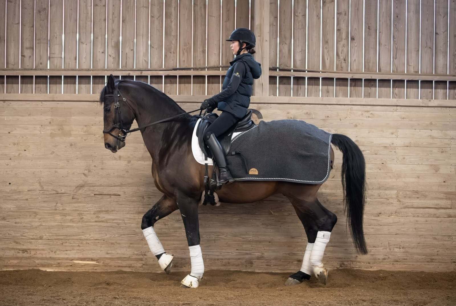 Dressage training on a black horse in an indoor arena