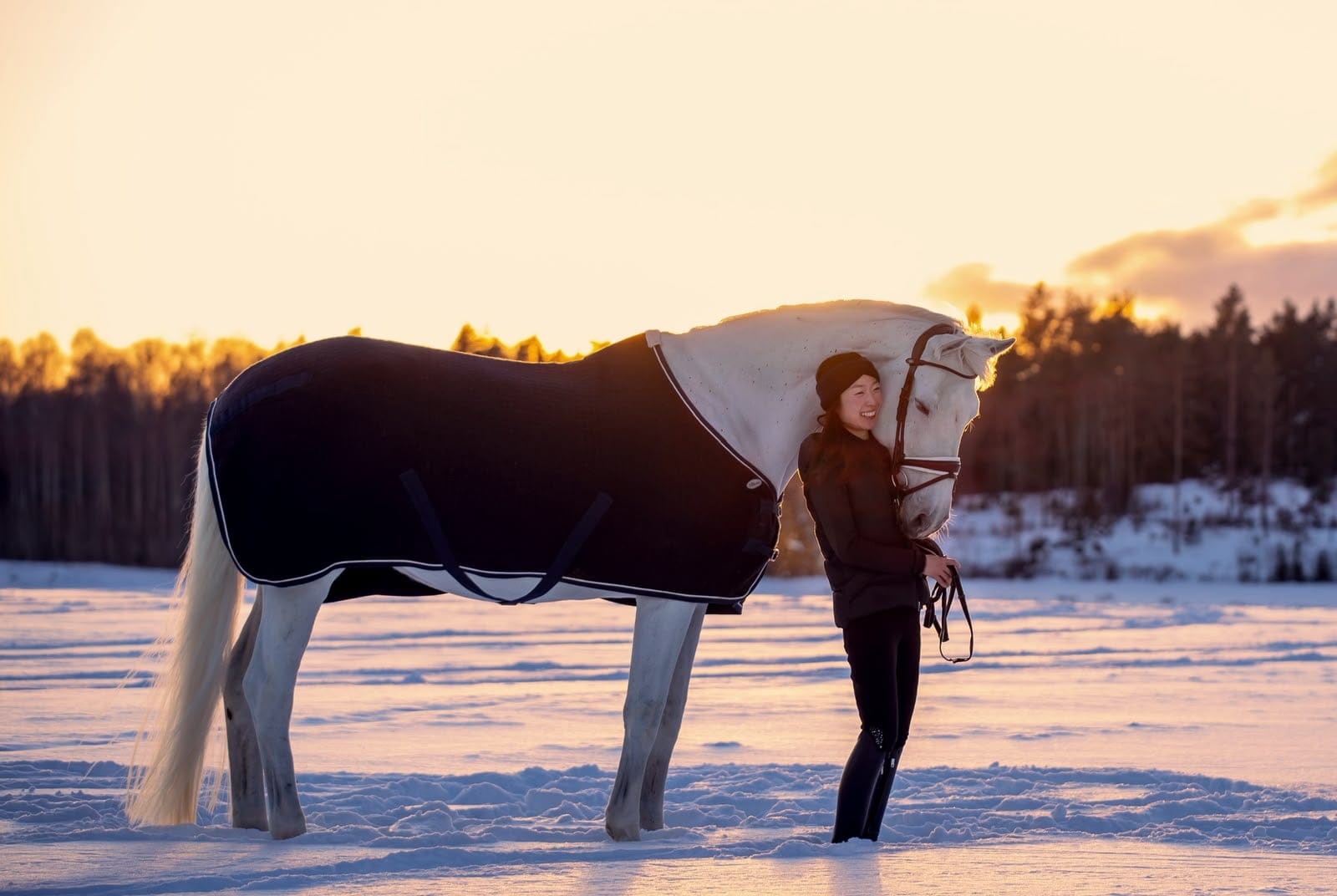 Grey horse in a blanket with Yuka in a winter landscape